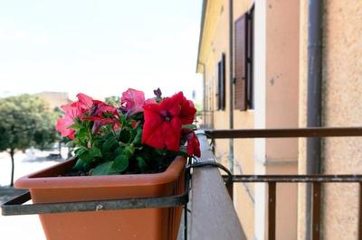B&B La casa di Dorothy