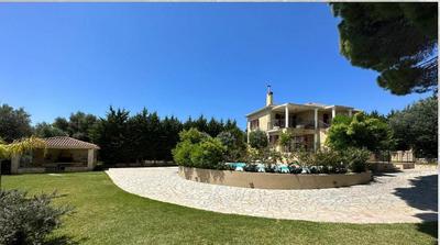 Apeiron Villas - Olive Forest Apartment