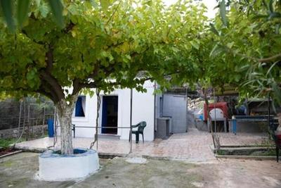 Vineyard Vathis