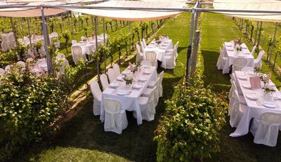 Podere Riosto Cantina&Agriturismo