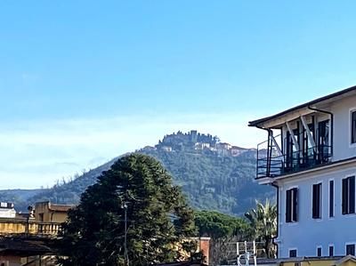 Charming chic design apartment