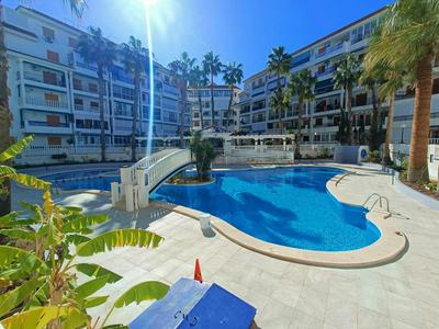 Apartament Olivia La Mata