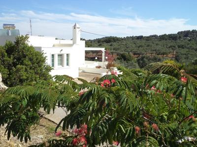 Villa Paradisos Archangelos