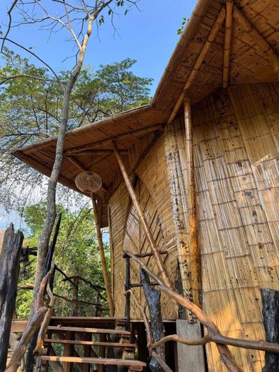 Akasha suites