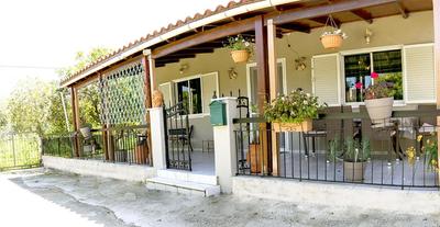 house beside lemon tree