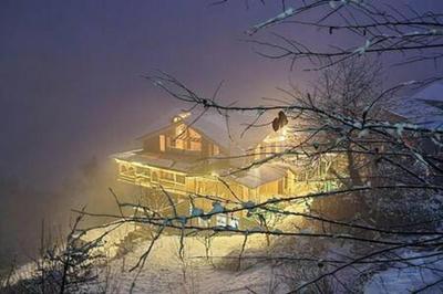 ArtVillage Naggar - Luxury Suite in a Katkuni Home