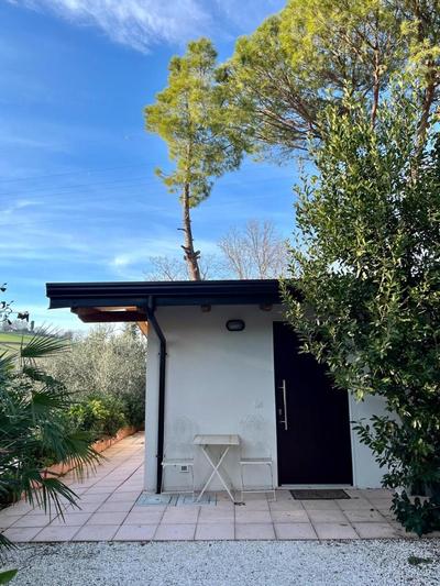 Il podere degli ulivi