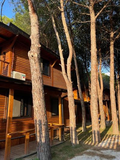 Mikpritja Velipojë 1