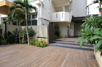 Sky Cuculu Ishigakijima