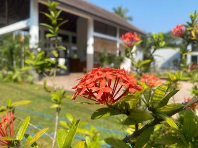 Lion Gate Hotel Sigiriya