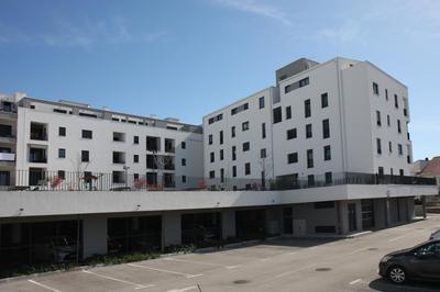 Apartment Dino, Zadar