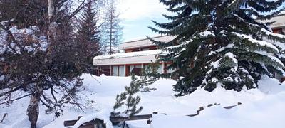 Ski apartment Sellette San Sicario Alto
