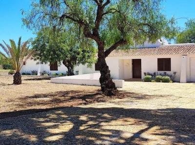 Casa da Colina - Privat Pool & BBQ & Privacy