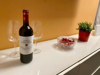 Pretty apartment next to Chianti and Florence