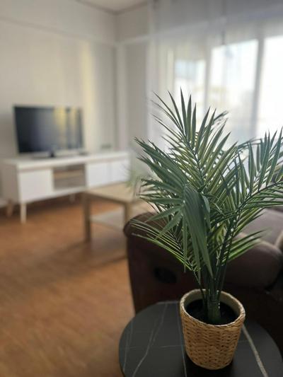 Apartamento a tan solo 100m de la playa SOLO FAMILIAS