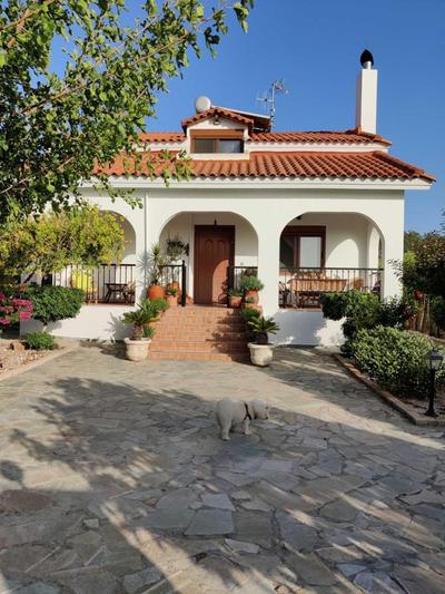 Nicolas Traditional House Istrios