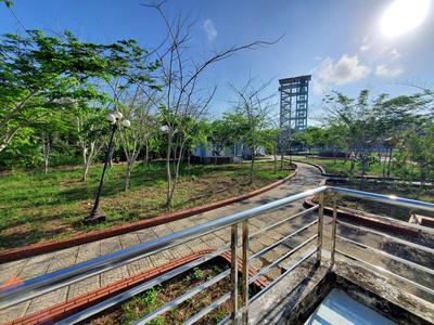 Vườn Quốc Gia U Minh Hạ