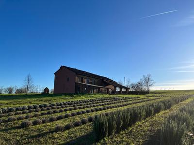 Cascina Mima - Monferrato