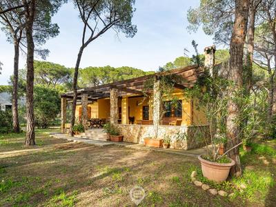 Seaside Pineta Retreat