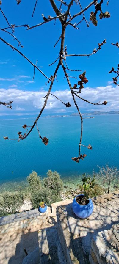 Linamare Eolos