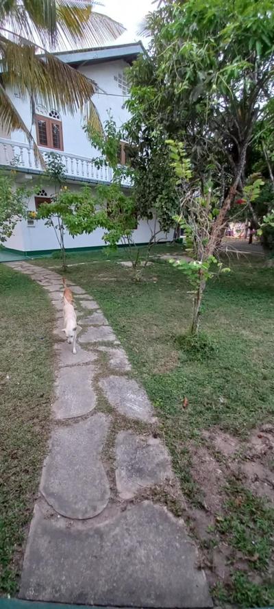 Shanon Lake Villa Surf Lodge