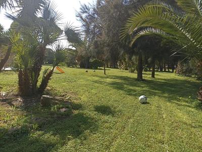 Il giardino di Ercole