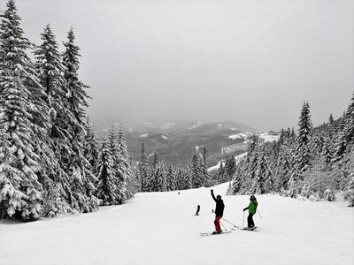 Bergliebe Klippitztörl