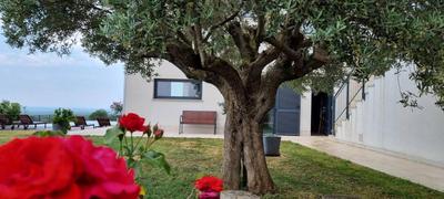 Modern Villa Anna with outdoor pool in Visnjan