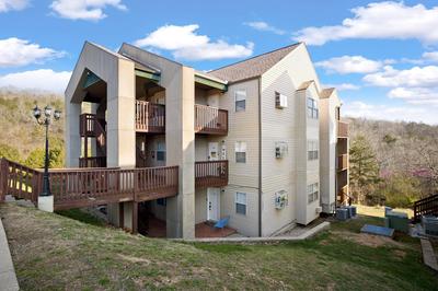 Family and Pet friendly ground level Condo, 4 mins to Silver Dollar City, Amazing Ozark Mountain Views