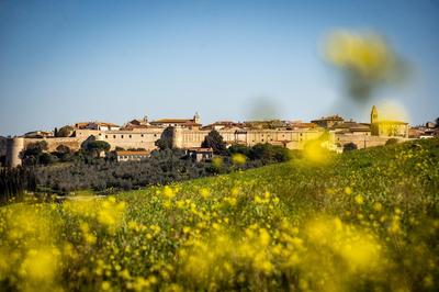 Appartamento Il Papavero Rosso