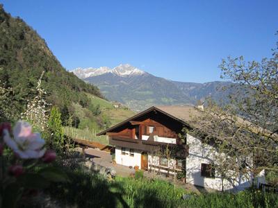Oberötzbauer Apartment Enzian