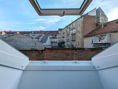Tiny Downtown Apartment w Detached Private Bath