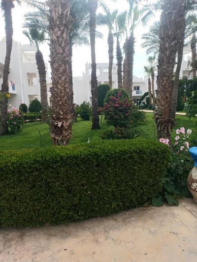 A two-room chalet in the village of Lale Land, Mirage Bay, Ecopark