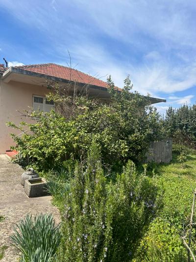 Renovated Two bedroom house in charming Gošići next to Tivat