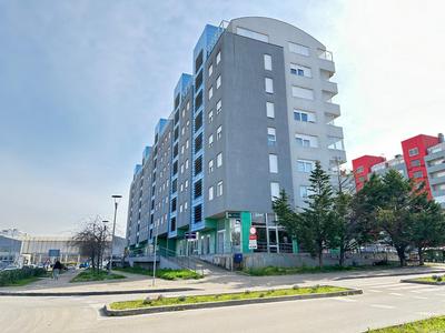 Apartment Forty Two