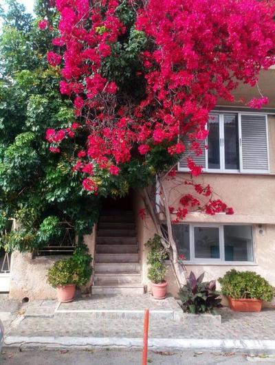 Family friendly apartment with a garden view