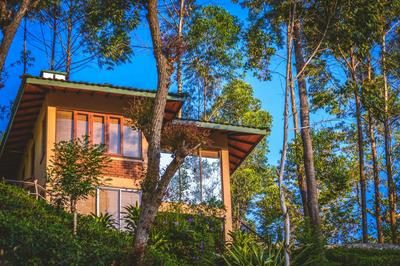 Tea Cottage Resort & Spa