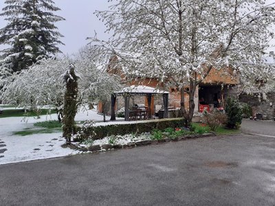 Green Pine Lodge