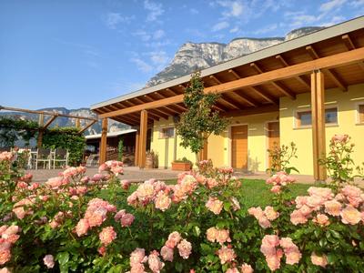 Agriturismo L' Isola di Arturo