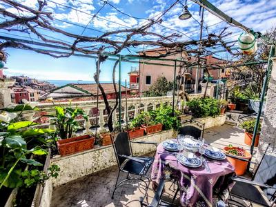 -La Terrazza nel Vigneto- [Golfo dei Poeti]