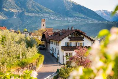 Weingut Pardellerhof