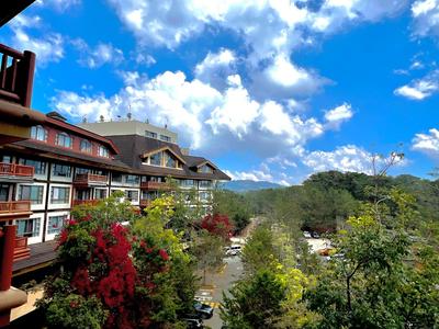 Baguio Forest Lodge at Camp John Hay 003