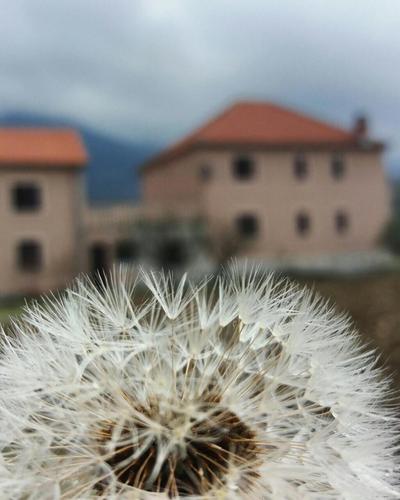 Apartman Mio