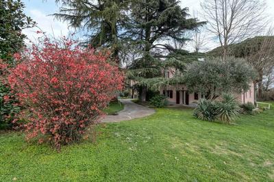 Loft con Vigna sui Colli Bolognesi - Villa Govi Pancaldi