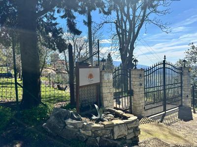 Agriturismo Tassinaia