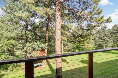 The Four Pines