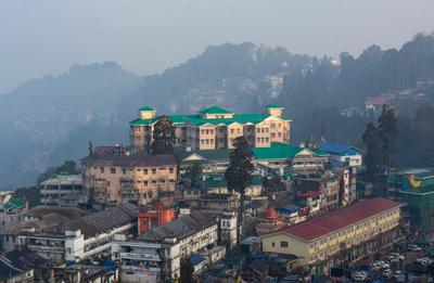 Avianna Seven Seas Darjeeling