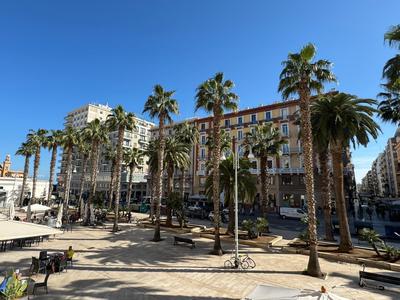 Palm Central House
