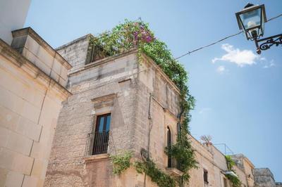 Pietra Viva
