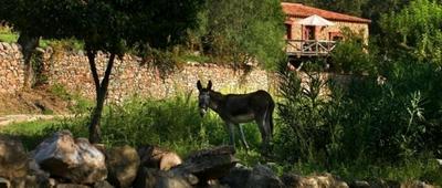 Ferienhaus für 4 Personen ca 70 m in Alajar, Andalusien Provinz Huelva